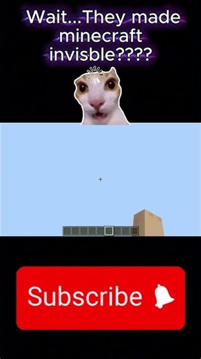 I don't know what they were thinking #minecraft