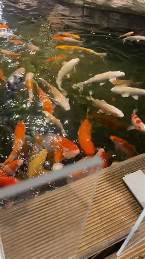 #pourtoiiiiiiiiiiiiiiiii #100k #♥️ #musica #france🇫🇷 #explore