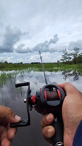 Fishing in the swamp borneo #fishing #borneo | Machine Engineering