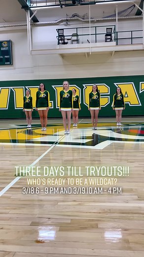 We’re so excited to meet everyone and build our new team! Check our Facebook for details and tryout material #cheer #collegecheer #nmu #wildcats #tryouts