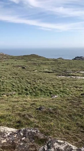 Classic Sailing on Reels