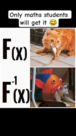 maths meme #mm #math