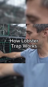 Here’s how a lobster trap really works, most lobsters climb right back out. Save this if you learned something new about how we actually catch ‘em #maine #interesting #fishing #seafood #commercialfishing #lobster #lobsterfishing | Jacob Knowles