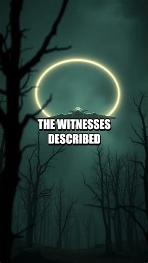 Rendlesham Echoes The Night The Forest Spoke