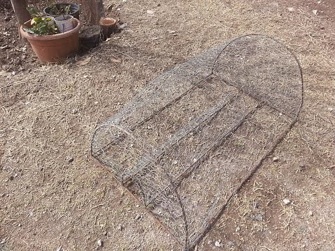 Bird trap, very simple and effective...