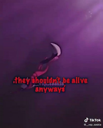 Mapleshade | WarriorCats