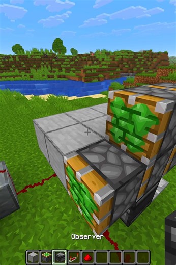 Minecraft Sliding Door 💀 #shorts