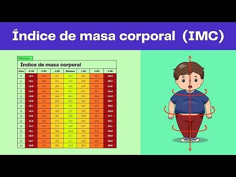 Cómo valorar el IMC o índice de masa corporal.