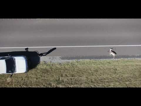 Deer Strike: Ranch Hand