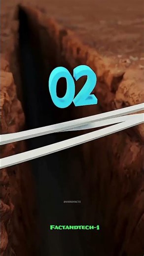 150 tissue layers bridge contain your weight