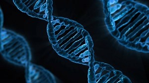 Gen – Was ist das? Eine Definition