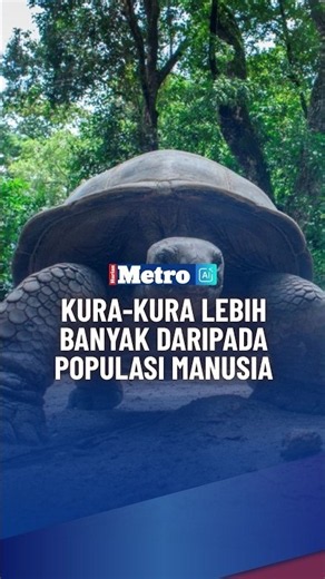 Kura kura lebih banyak daripada populasi manusia