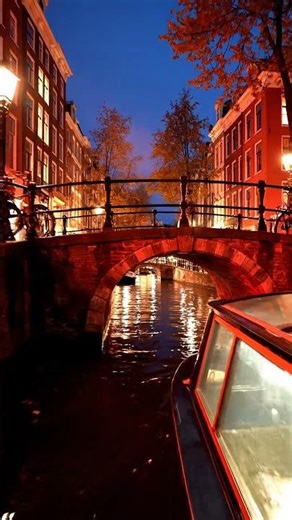 Inside Amsterdam's most famous street #documentary #realworld