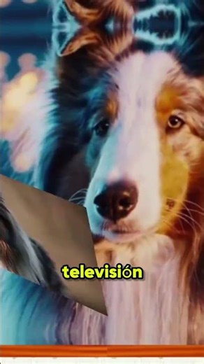 El legado eterno de Lassie una tradición de familia