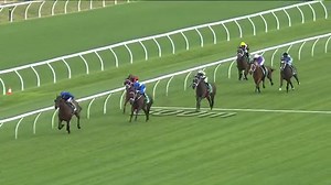 6.2K views · 122 reactions | Happy Clapper gave the great mare Winx...