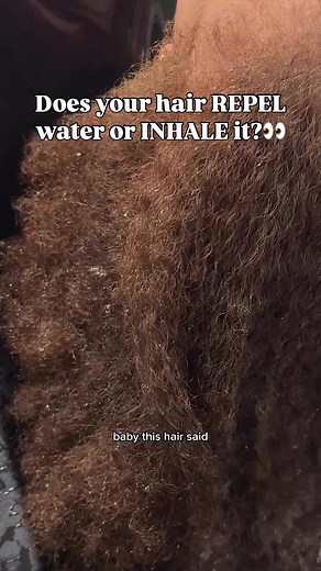 Understanding Low vs High Porosity Hair Care