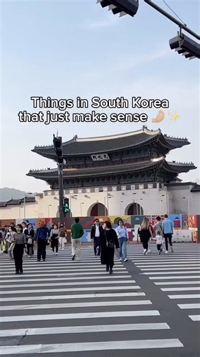 Seoul 🇰🇷 서울 여행 가이드 Travel | Hotels | Food | Tips on Instagram: "@naniloveslife shows us amazing things in Korea that make absolute sense to have around! 🤩🇰🇷 Which of these do you want most? 🥰 📍South Korea"