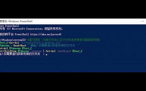 使用PowerShell无视任何限制当前文件（夹）&递归获取文件权限（Windows）