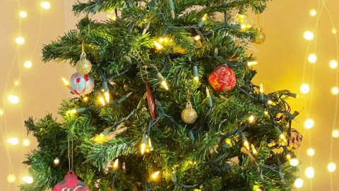 100 LED Slow Twinkle Lights, Soft Twinkling Christmas String Lights, UL Certified 27 Ft, Connect Up to 25 Sets, Indoor & Outdoor Christmas Decorations