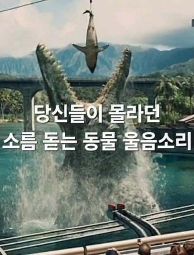 당신들이 몰라던 소름 돋는 동물 울음소리