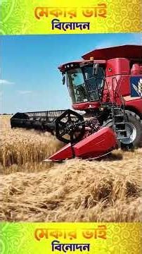 Massive Bamboo Shoot Processing in 2026 Revealed