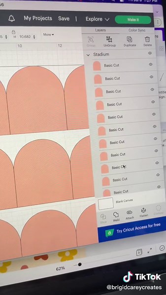 Brigid | CT Watercolor Artist on TikTok