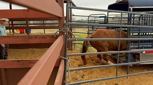 8.7K views · 901 reactions | This is so beautiful! The way Ty...