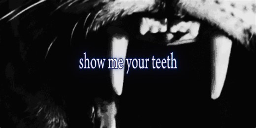 TIGER Art Inspired by Wildlife Diversity