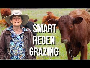 What Makes This Farm's Grazing So Special?
