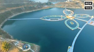 This floating walkway might be the closest you’ll get to walking on water | NowThis