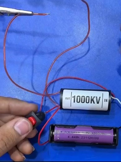 1000KV Step Up Power Module High-voltage Generator #1000KV #StepUp #Voltage | Bakr Power