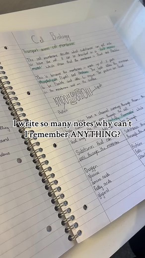 Effective Study Tips for Better Memory Retention