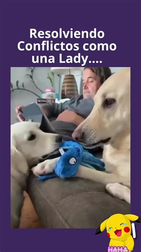 Videos de calu✨️ (@calu80398) con “sonido original - calu✨️”