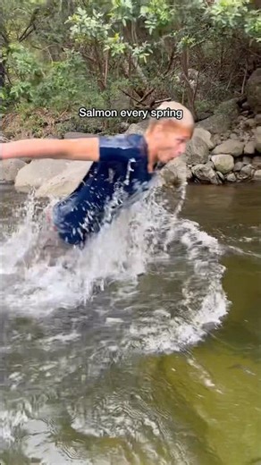 Successful salmon run this year 😂