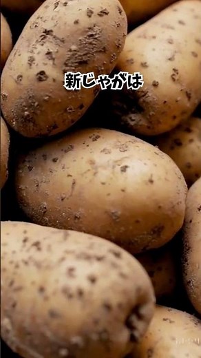 春の食べ物の雑学7選