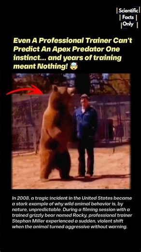 Tragic Incident Reveals Why Wild Bears Can Never Be Fully Tamed 🫨
