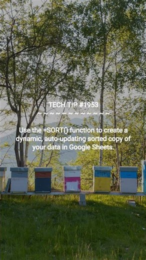 Auto-Sort Data in Google Sheets | 2026-01-07 | #Shorts #programmingtips #dotKey #productivityhacks