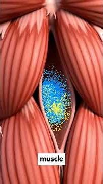 Muscle glycogen explained💪 carbs make your muscles look fuller, stronger,& more pumped#muscle#gym
