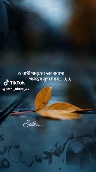 Exploring the Beauty of Leaves in Photographic Art