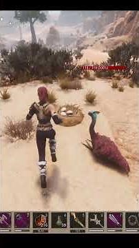 Conan exiles, where to find the ostrich chicks?