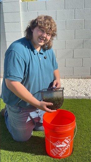 How to get rid of duckweed quick (do not try this at home)!￼