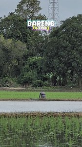 Najan beda negara tapi mandeng langit pada | Wong Kulli