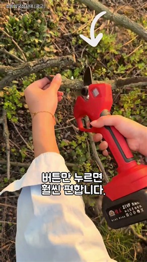 가지치기 전지가위만 있는 줄 알았죠? 8인치 전기톱+연장막대까지 세트