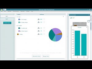 Managing options in the SpiceLogic Analytic Hierarchy Process software