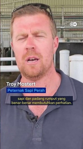 Ini Cara Baru Peternak Mendapatkan Susu Perah