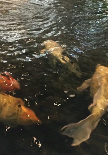 Discover the Charm of Stranger Things with ONCE