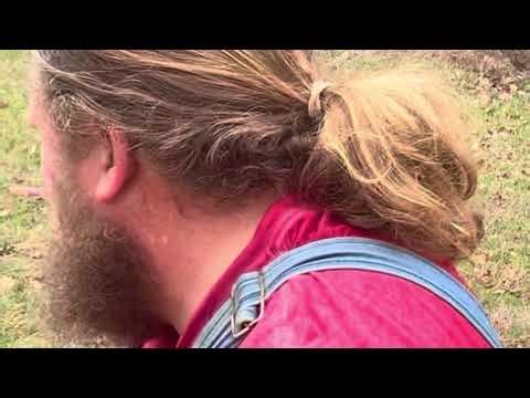 Making a trellis with cattle panels and t-posts.