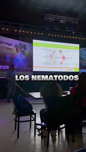 Ciclo de vida de los nematodos .