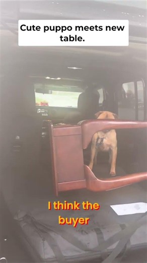 Pulling up for "FREE" Facebook Finds 🚗💨 : Part 5 THE FINALE (wait for the 🐶)