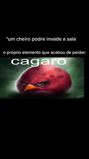 user37819231798 no TikTok